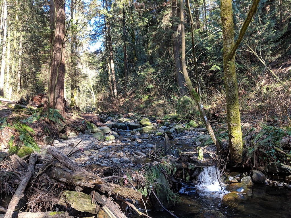 Byrne Creek Urban Trail | Byrne Creek Urban Trail, Burnaby, BC V3N 0A1, Canada