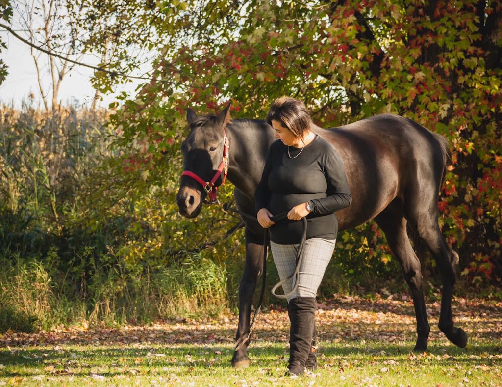 Centre Équilibre | 87 Rang du Petit Bois, Pierreville, QC J0G 1J0, Canada | Phone: (438) 874-0218