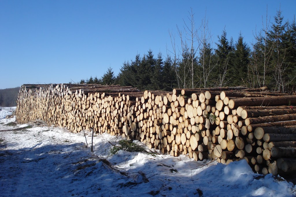 Groupement Forestier Grand Portage | 1004 Rte. des Roches, Saint-Antonin, QC G0L 2J0, Canada | Phone: (418) 495-2054