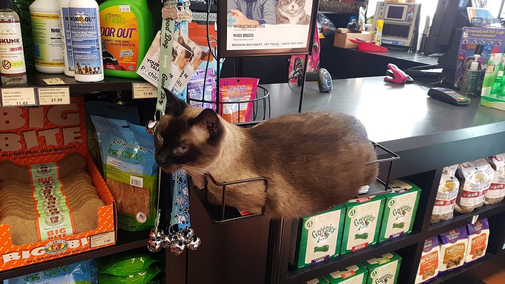 Pet Valu | 486 Lawrence Ave W, North York, ON M5M 1C4, Canada | Phone: (416) 789-2249