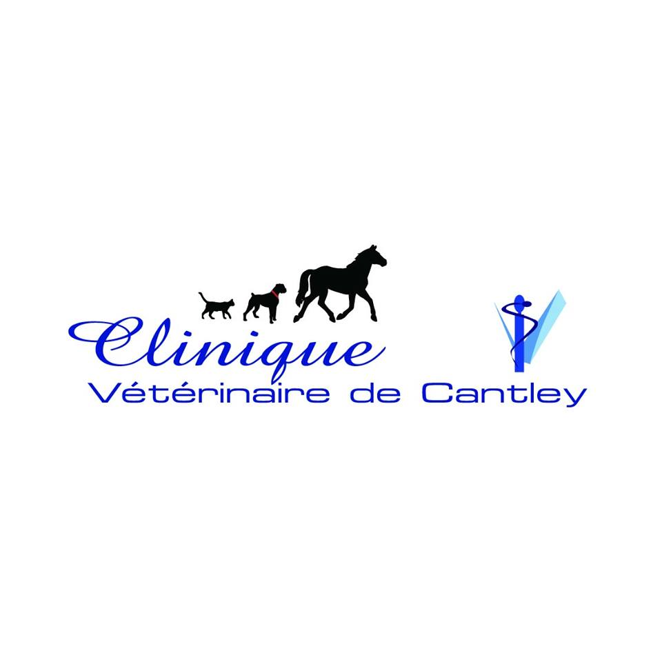 Clinique Vétérinaire de Cantley | 1 Rue de Bouchette, Cantley, QC J8V 3H9, Canada | Phone: (819) 607-6070