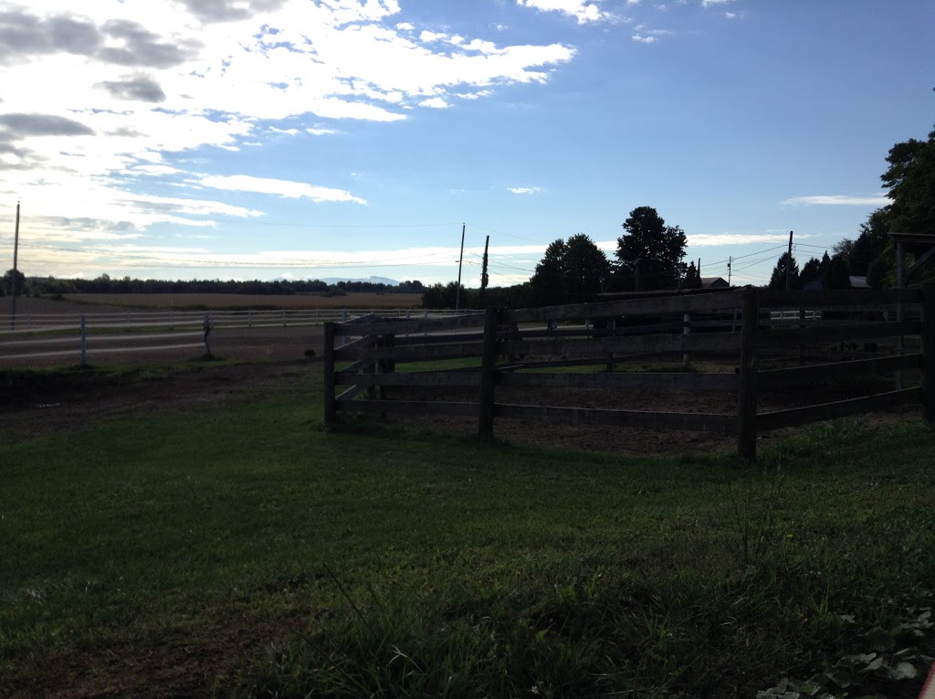 Centre Equestre La Chevalerie | 1520 Grand Rang Saint-Charles, Saint-Paul-dAbbotsford, QC J0E 1A0, Canada | Phone: (450) 379-9381