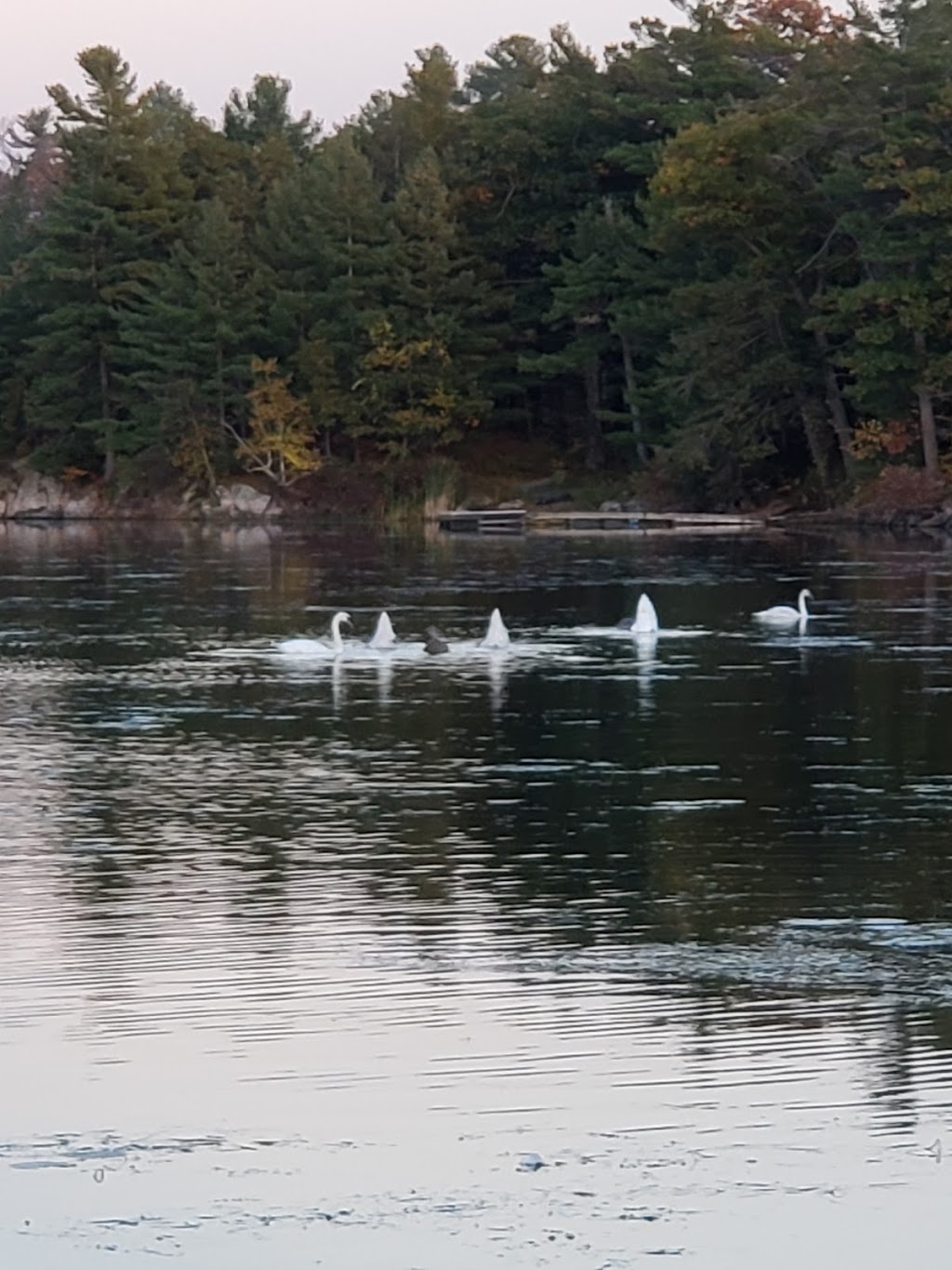 Loughborough Lake Watercraft Launch | Perth Rd, South Frontenac, ON K0H, Canada | Phone: (613) 546-4228