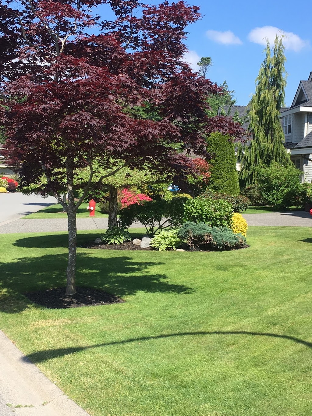 Passionate landscaping | 17453 0 Ave, Surrey, BC V3S 9P3, Canada | Phone: (403) 608-7164