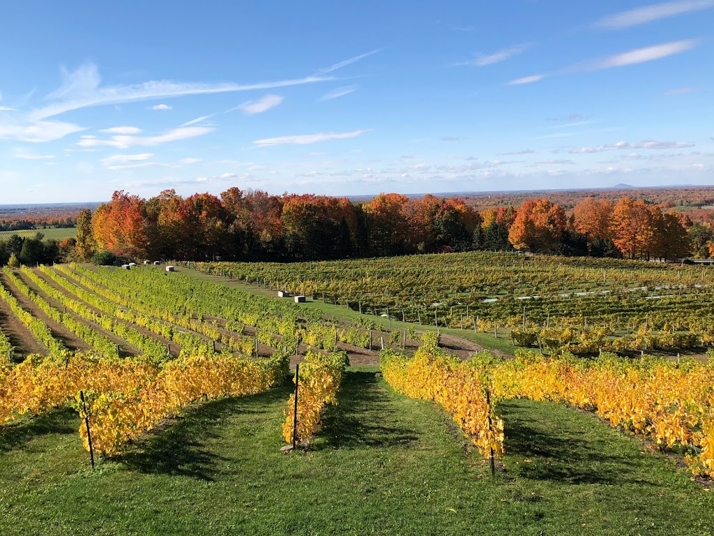 Domaine des Cotes dArdoise | 879 Rue Bruce, Dunham, QC J0E 1M0, Canada | Phone: (450) 295-2020