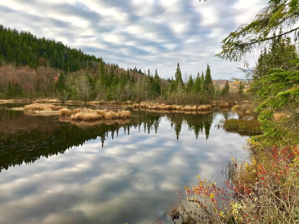 Marais du Nord (Les) | 1100 Chemin de la Grande Ligne, Stoneham-et-Tewkesbury, QC G3C 0Y1, Canada | Phone: (418) 841-4629