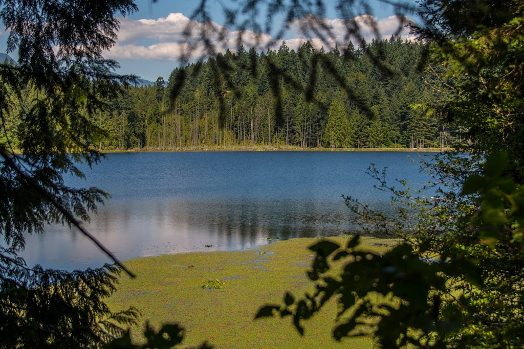 Crippen Park | Hummingbird Ln, Bowen Island, BC V0N 1G1, Canada