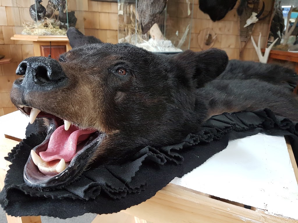 Taxidermie Chez Eric | 279 Rue Principale, Vallée-Jonction, QC G0S 3J0, Canada | Phone: (418) 253-6495