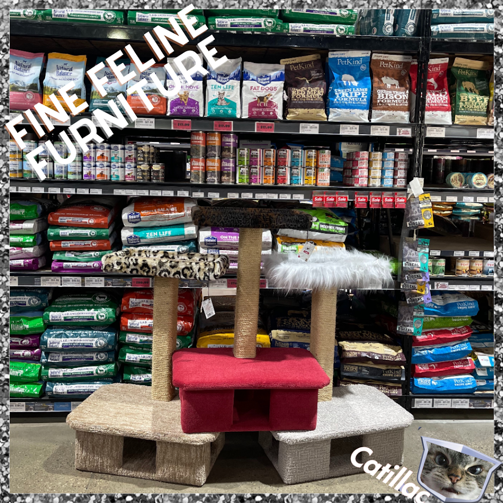 Catillac Co. Building Cat Trees For Canadians | 10204 79 St NW, Edmonton, AB T6A 3G5, Canada | Phone: (780) 937-4370