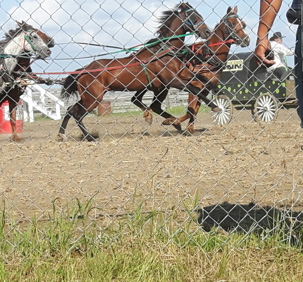 Back to Batoche Festival Site | 11 km north of Hwy 312, SK-225, Batoche, SK S0K 3Y0, Canada | Phone: (306) 343-0171