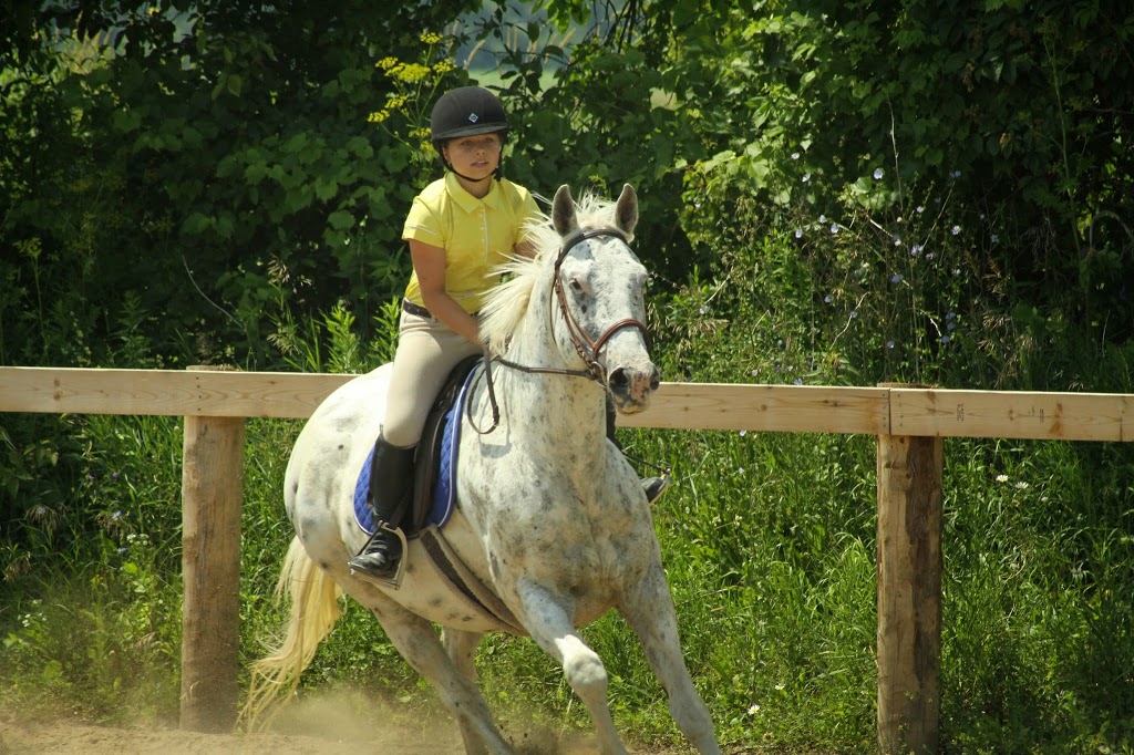 Kuruka Equestrian | 4629 Concession Rd 2 Sunnidale, New Lowell, ON L0M 1N0, Canada | Phone: (705) 796-3308