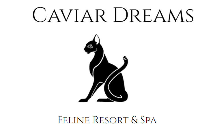 Little Paws Inn (Caviar Dreams) | 8521 Argyll Rd NW, Edmonton, AB T6C 4B2, Canada | Phone: (780) 757-2971