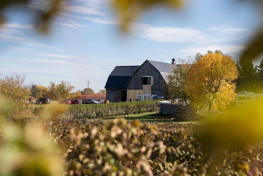 Vignoble du Mouton Noir | 1482 Rue du Rivage, Saint-Antoine-sur-Richelieu, QC J0L 1R0, Canada | Phone: (514) 231-3227