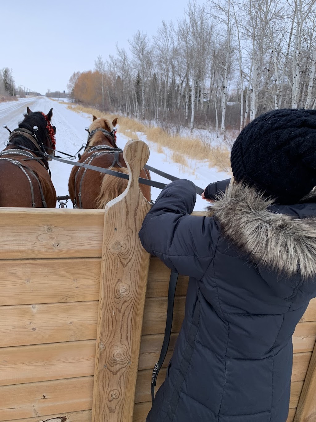 Cloud 9 Equine Therapy | 31061 Ekron Rd 37E, Sarto, MB R0A 0R0, Canada | Phone: (204) 392-6308