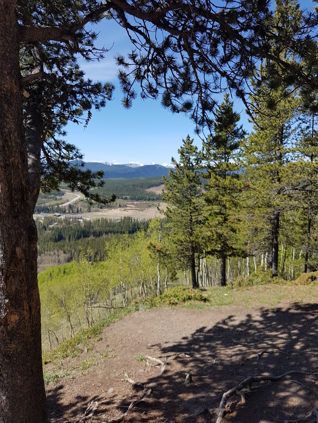 Fullerton Loop Hiking Trail | Alberta 66, Bragg Creek, Kananaskis, AB T0L 0K0, Canada