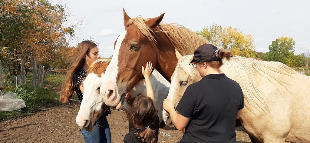 Zootherapy Danièle Monast | 111 Chem. de la Baie Quesnel, Rigaud, QC J0P 1P0, Canada | Phone: (450) 451-4210