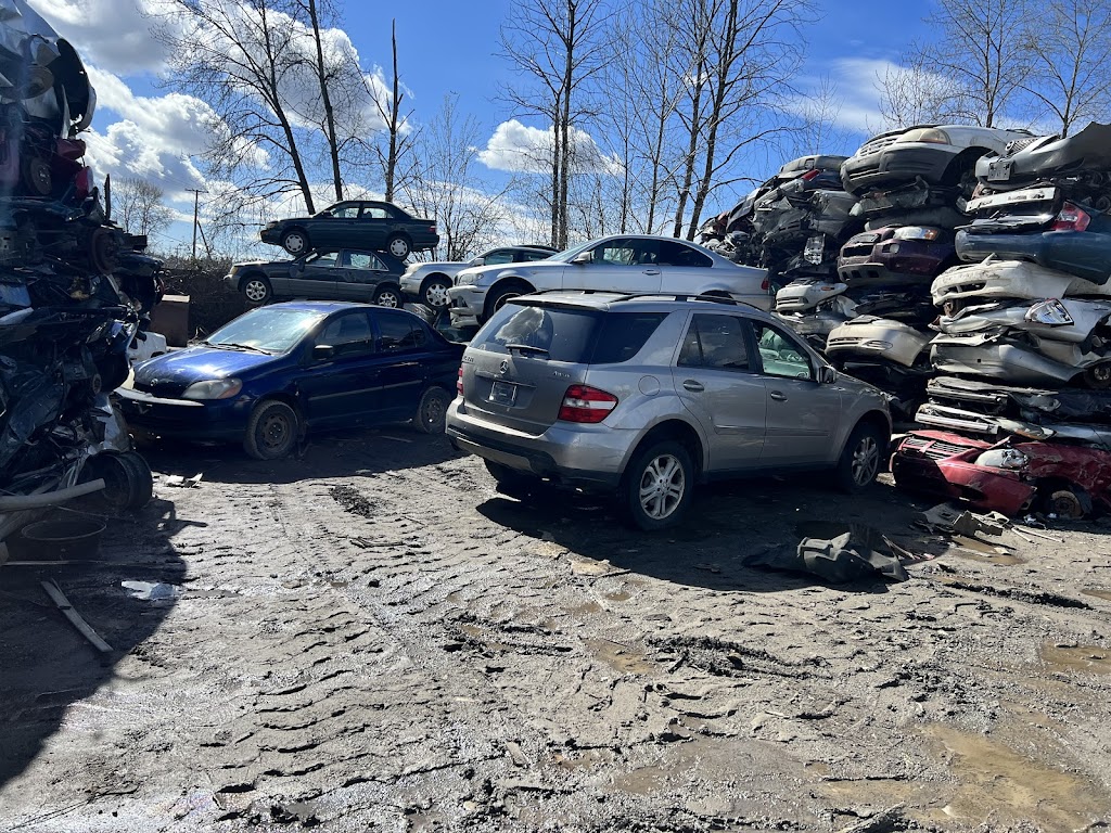 Capital Auto Recycling Inc | 10791 120 St, Surrey, BC V3V 4G5, Canada | Phone: (604) 318-0362