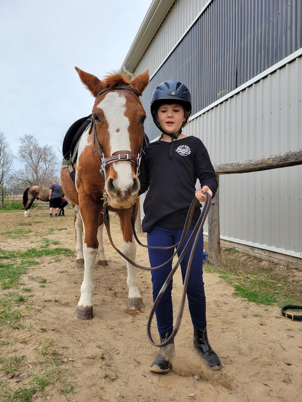 Hebel Equestrian | 629 Sawmill Rd, Bloomingdale, ON N0B 1K0, Canada | Phone: (519) 500-3394