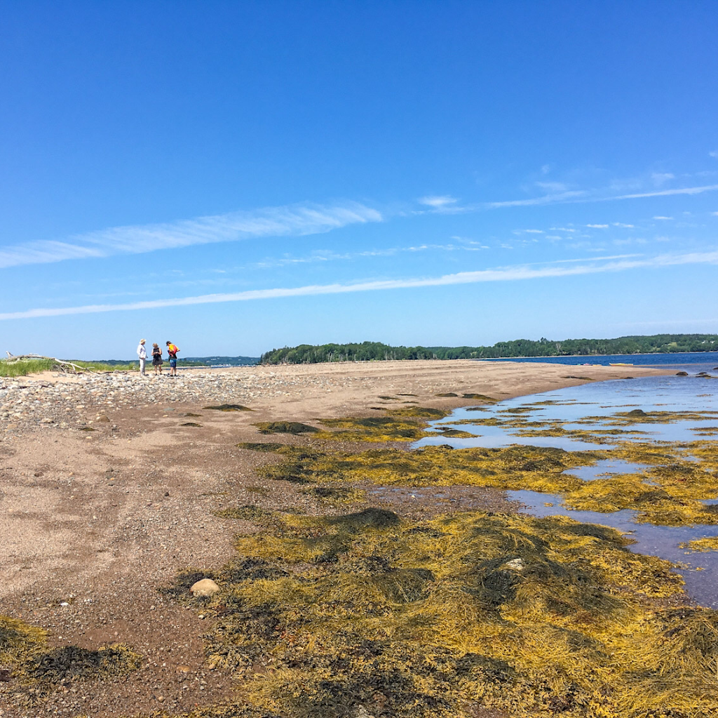 Sail and See, a sailing experience | 683 Main St, Mahone Bay, NS B0J 2E0, Canada | Phone: (902) 541-0399