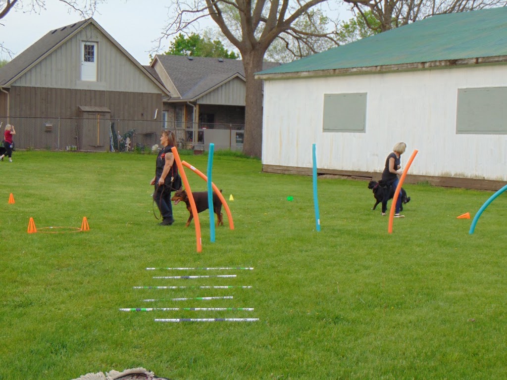 Sport Dog Training Center | 112 Pine St E, Aylmer, ON N5H 1N5, Canada | Phone: (519) 902-4739