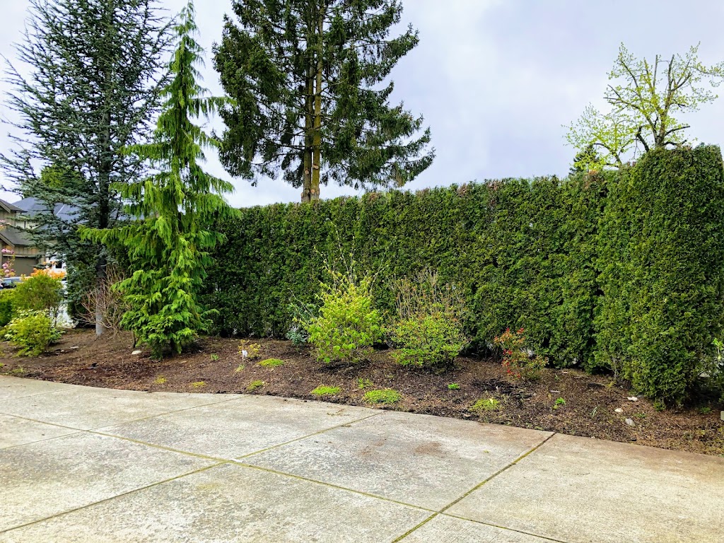 JF Hedge Trimming LTD. | 4033 240 St, Langley, BC V2Z 2L4, Canada | Phone: (778) 241-0416