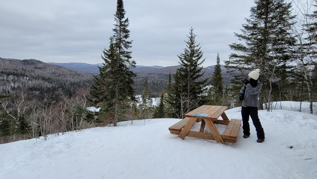 oiseaux au Domaine Saint-Bernard Garden | 539 Chemin St Bernard, Mont-Tremblant, QC J8E 1T4, Canada | Phone: (819) 425-3588