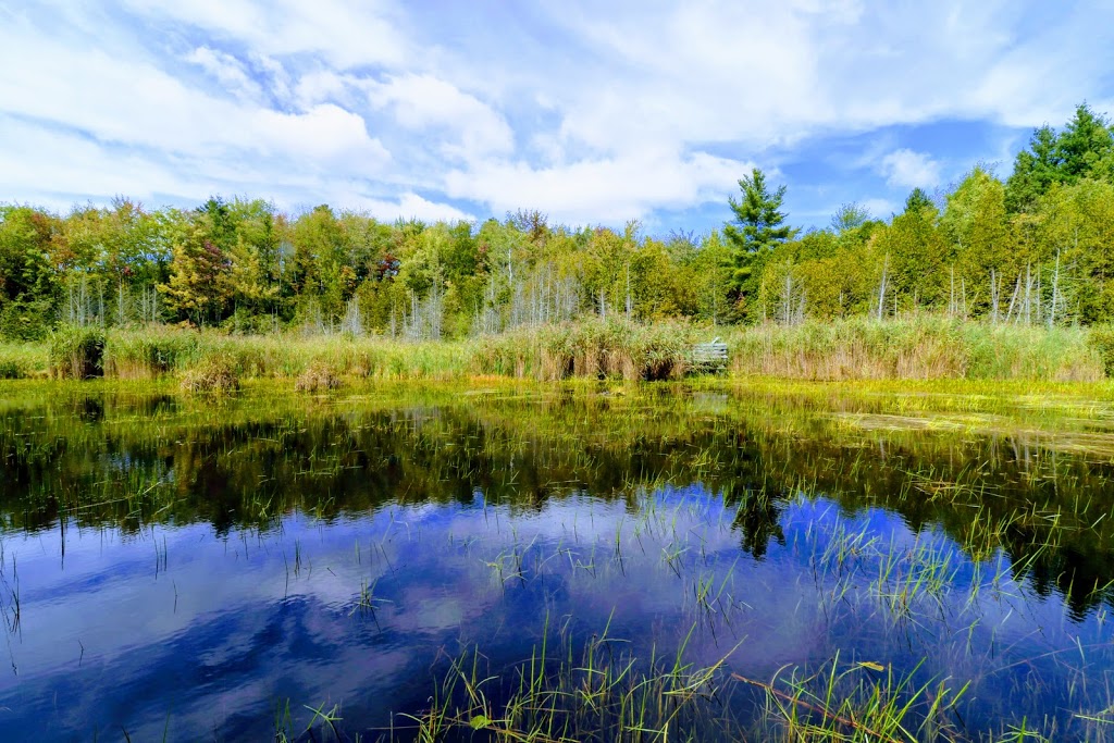 Marais de la Rivière aux Cerises | 69 Chemin Roy, Magog, QC J1X 0N4, Canada | Phone: (819) 843-8118