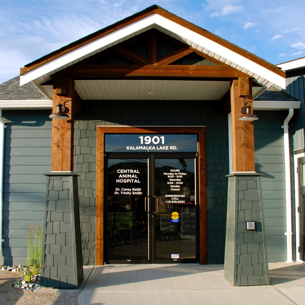 Central Animal Hospital | 1901 Kalamalka Lake Rd, Vernon, BC V1T 6V5, Canada | Phone: (250) 549-0402