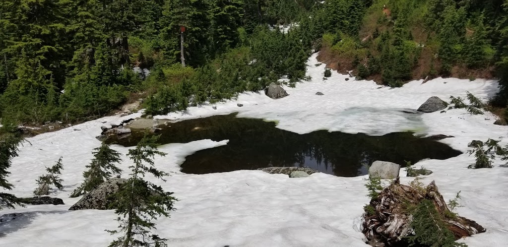 Elsay Lake Trail | Unnamed Road, North Vancouver, BC V7H, Canada