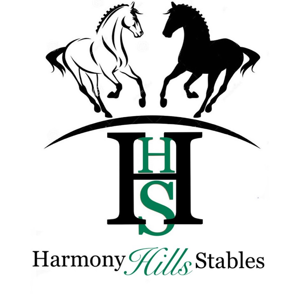 Harmony Hills Stables | 438 Brant Rd, St George, ON N0E 1N0, Canada | Phone: (226) 338-7025