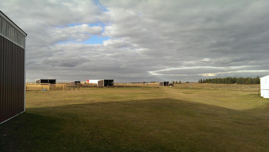 Country Hills Horse Boarding and Equestrian | RR6 Country Hills Blvd, Calgary, AB T2M 4L5, Canada | Phone: (403) 990-6340