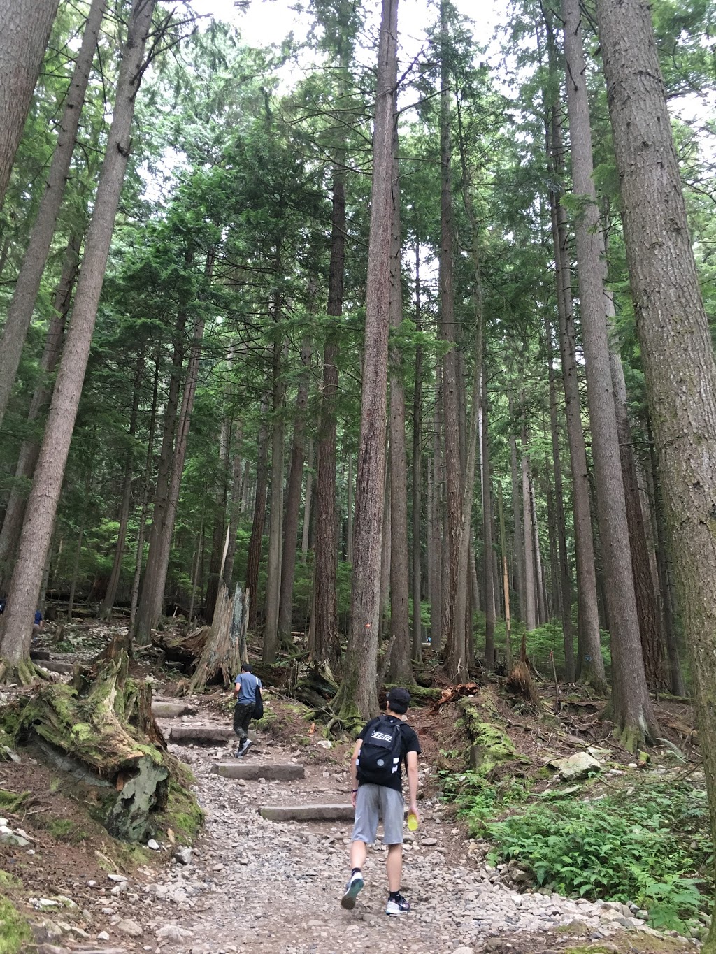 Grouse Grind Trail | 6400 Nancy Greene Way, North Vancouver, BC V7R 4K9, Canada | Phone: (604) 224-5739