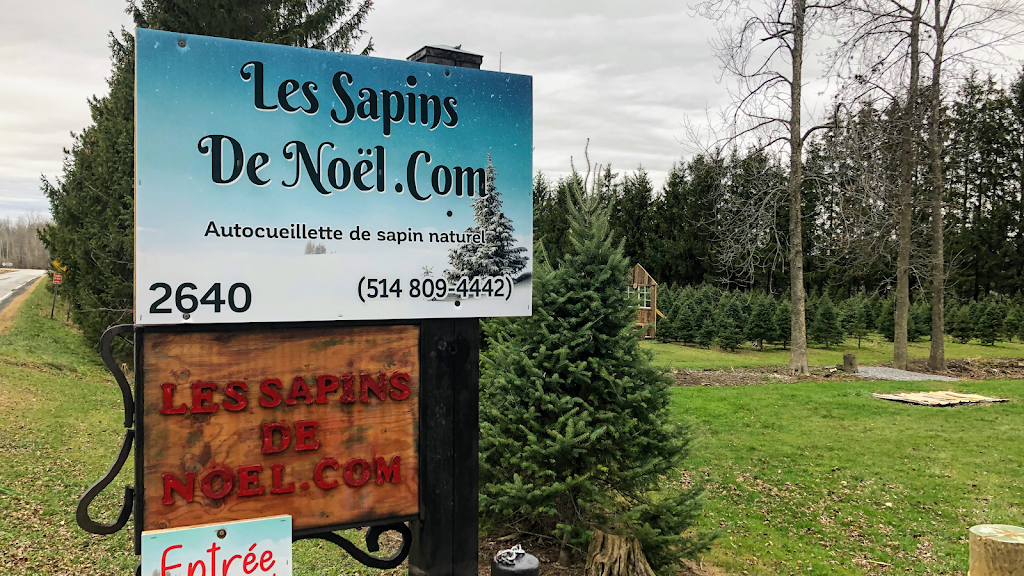 Les sapins de Noël.com autocueillette de sapin de noel | 2640 Mnt Bullock, Henryville, QC J0J 1E0, Canada | Phone: (514) 809-4442