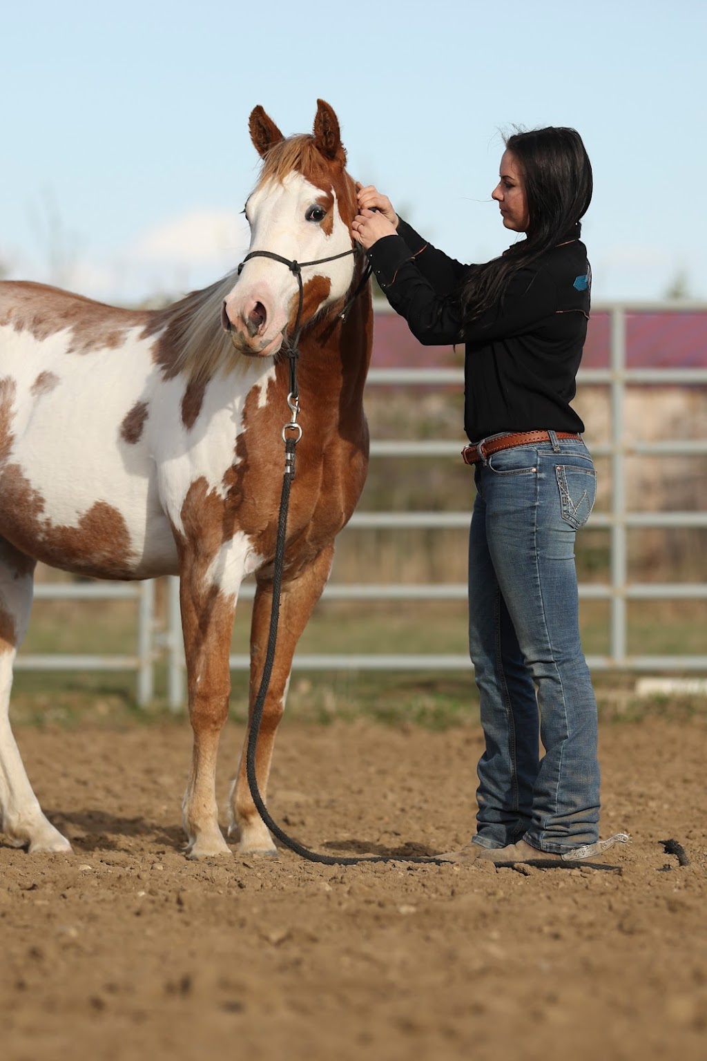 MH Horsemanship & Colt Starting | 390039 Range Rd 5-4, Alhambra, AB T0M 0C0, Canada | Phone: (403) 318-6107