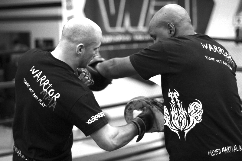 Warrior Mixed Martial Arts | 18075 Leslie St, Newmarket, ON L3Y 9A4, Canada | Phone: (905) 830-1711