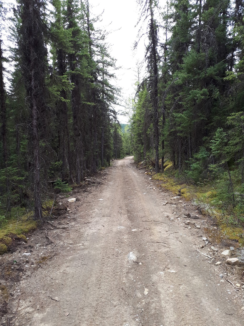 Pourvoirie Le chenail du nord | de Travers, Lac-, La Haute-Côte-Nord, QC G0T 1E0, Canada | Phone: (418) 871-1479