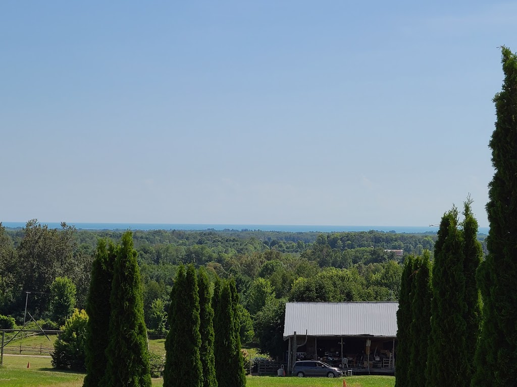 Cuttle Cottage Lavender Farm | 295 Vernonville Rd, Colborne, ON K0K 1S0, Canada | Phone: (905) 355-1984