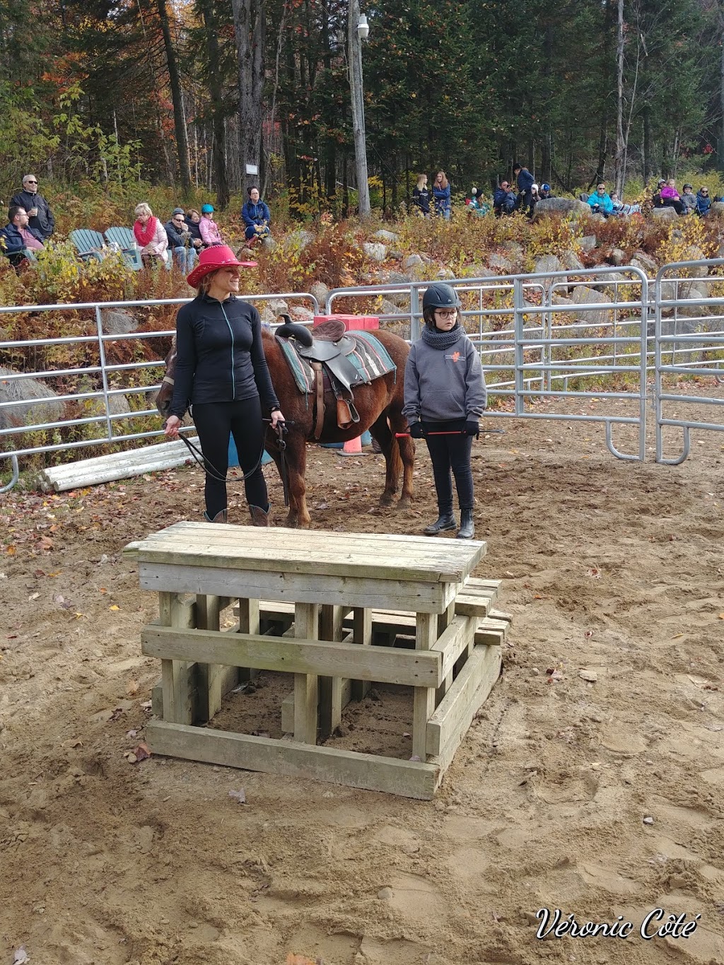 Domaine Léqui-Libre - Camp École Déquitation | 100 Chemin Wexford, Fossambault-sur-le-Lac, QC G3N 0M5, Canada | Phone: (418) 951-9002