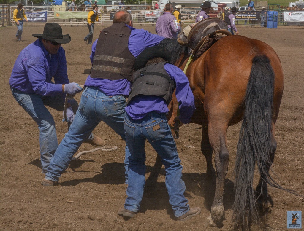 Rockyford Agricultural Society Rodeo | 111 1 St E, Rockyford, AB T0J 2R0, Canada | Phone: (403) 533-3771