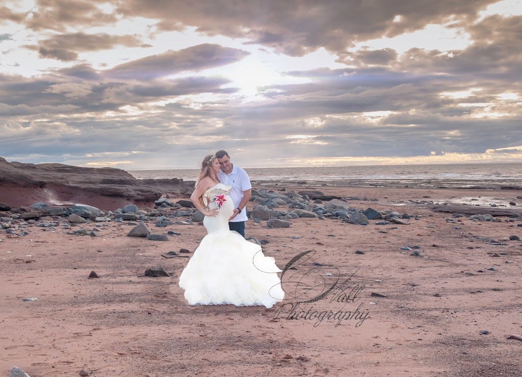 Christina Wall Photography | 880 Findley Rd, Upper Kennetcook, NS B0N 2L0, Canada | Phone: (902) 957-0790