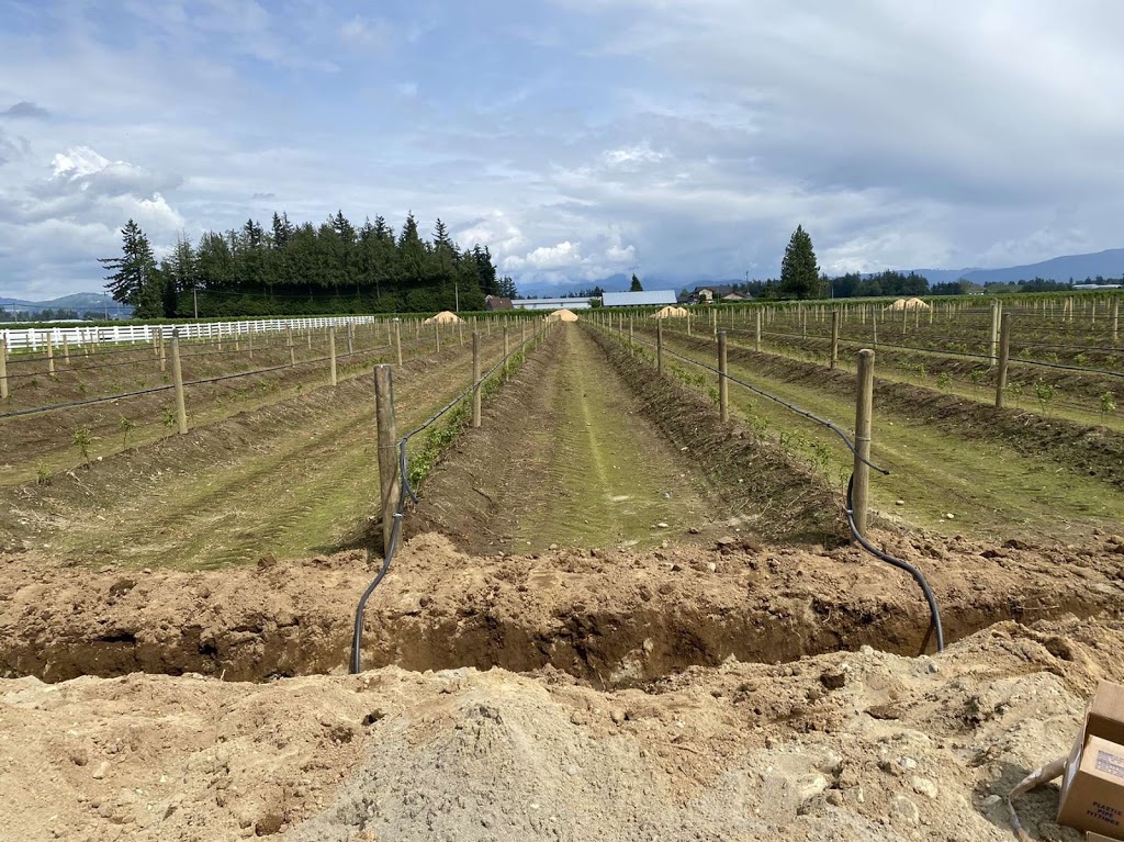 High End Excavating | 3754 Ross Rd, Abbotsford, BC V4X 1T1, Canada | Phone: (778) 552-5071