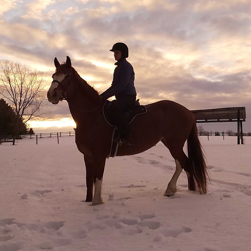 Hopewell Creek Stables | 1158 Forester Rd, Breslau, ON N0B 1M0, Canada | Phone: (519) 648-9975