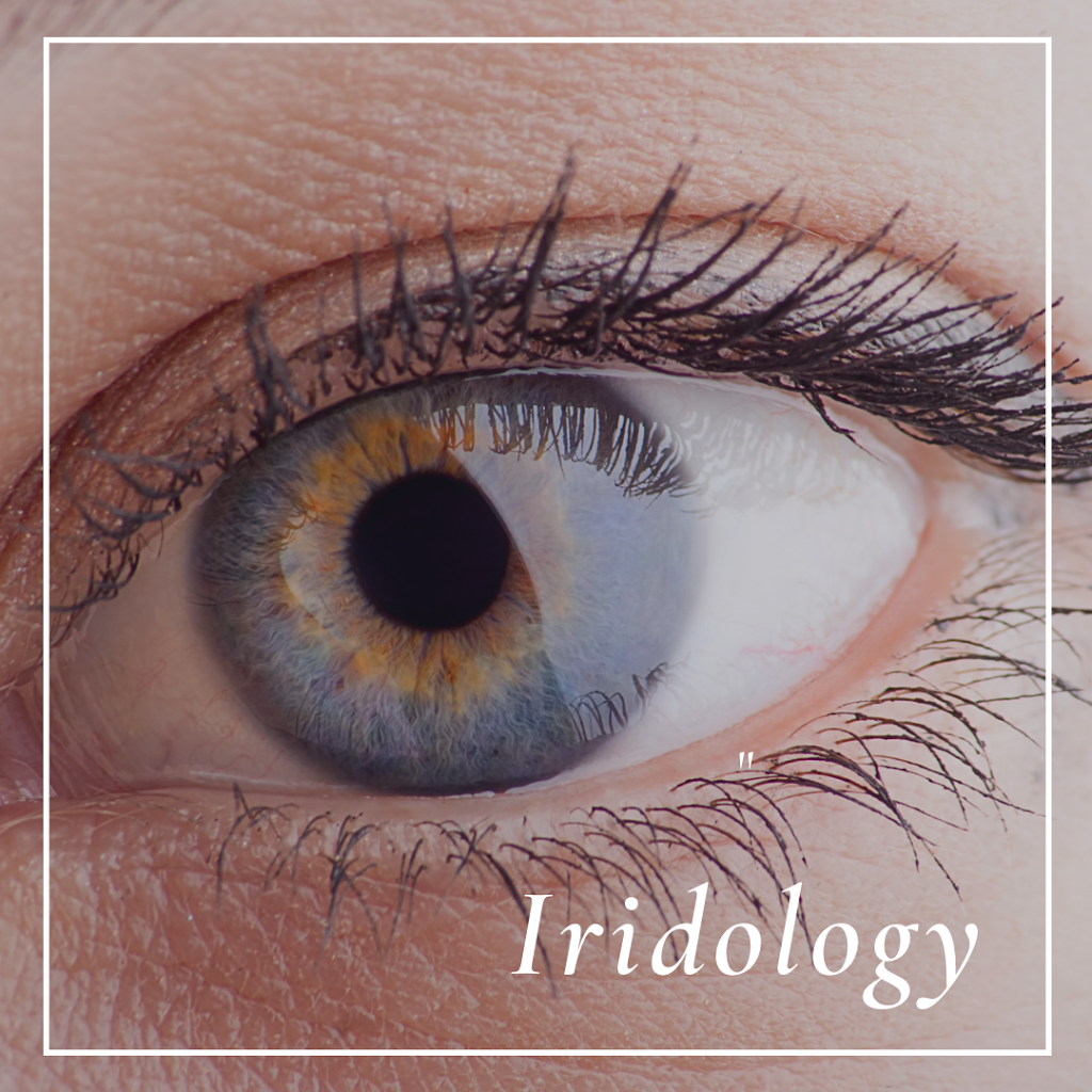 Christina Cagnin: Iridology and Holistic Wellness | 258 King St E, Stoney Creek, ON L8G 1M1, Canada | Phone: (905) 730-3013