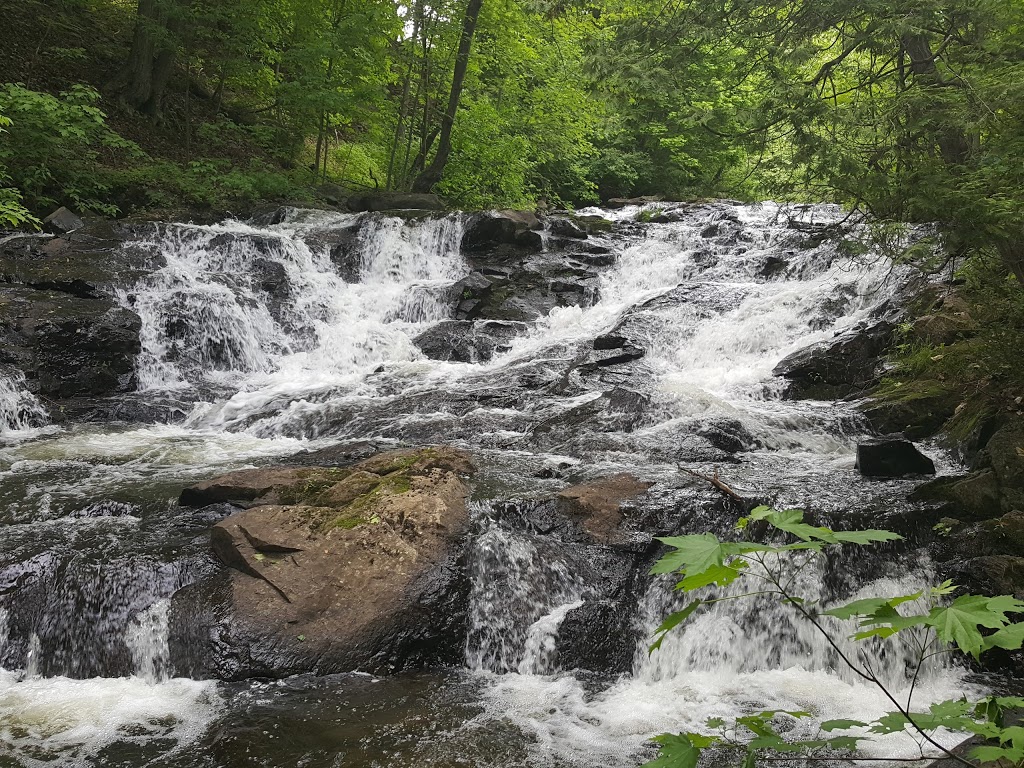 Au fil du temps | 373-411 Rang du Pied de la Montagne, Sainte-Marcelline-de-Kildare, QC J0K, Canada