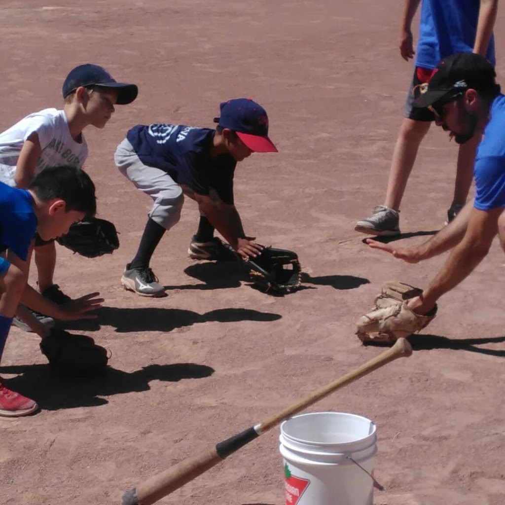 Balan Baseball Academy | 290 Clendenan Ave, Toronto, ON M1P 4N7, Canada | Phone: (647) 853-1927