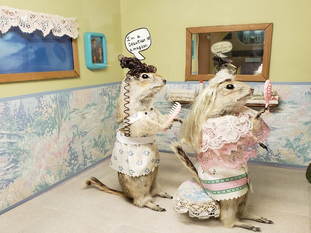 World Famous Gopher Hole Museum | 208 1 St SW, Torrington, AB T0M 2B0, Canada | Phone: (403) 631-2133