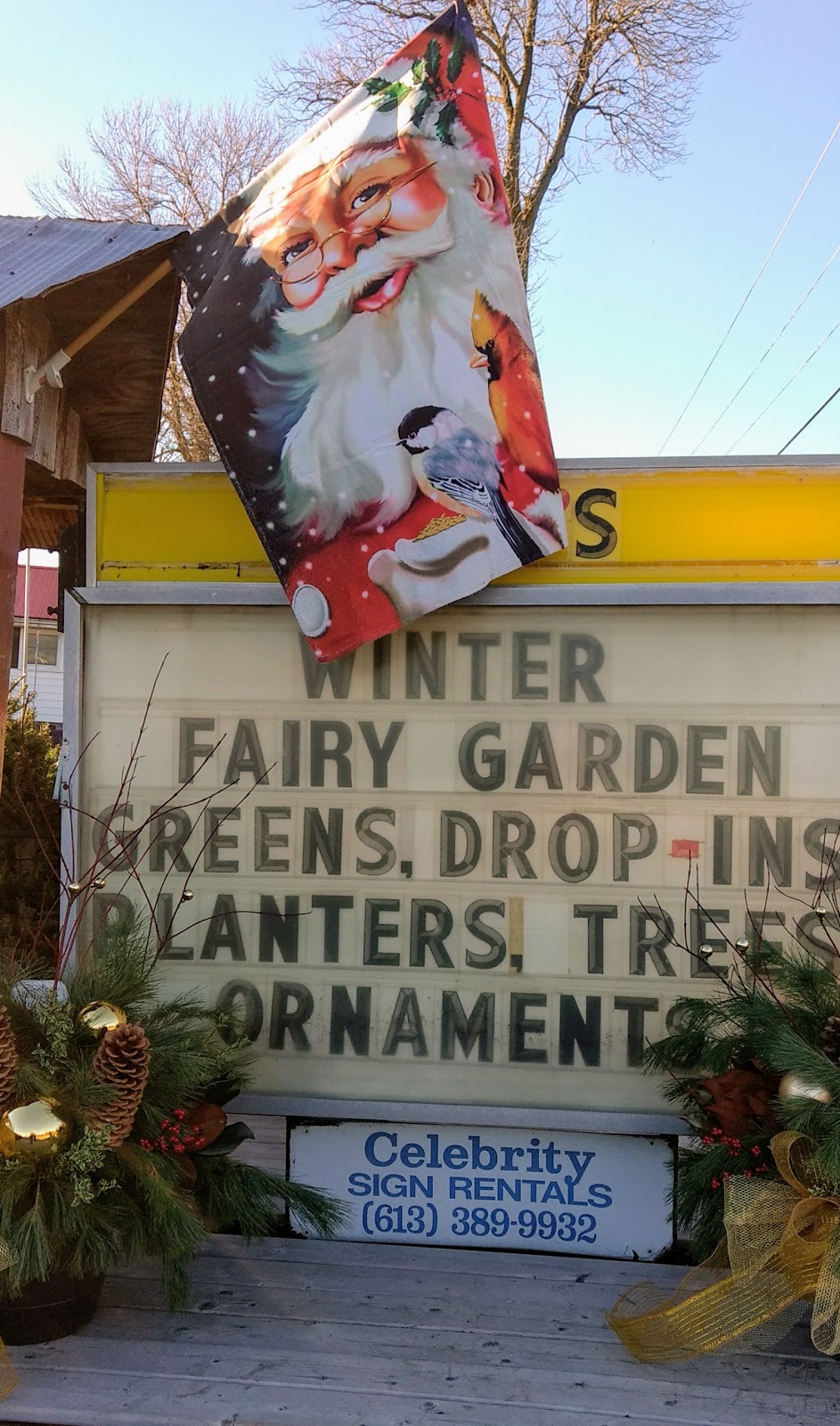 Rileys Garden Center | 2141 Bath Rd, Kingston, ON K7M 4Y3, Canada | Phone: (613) 389-0630