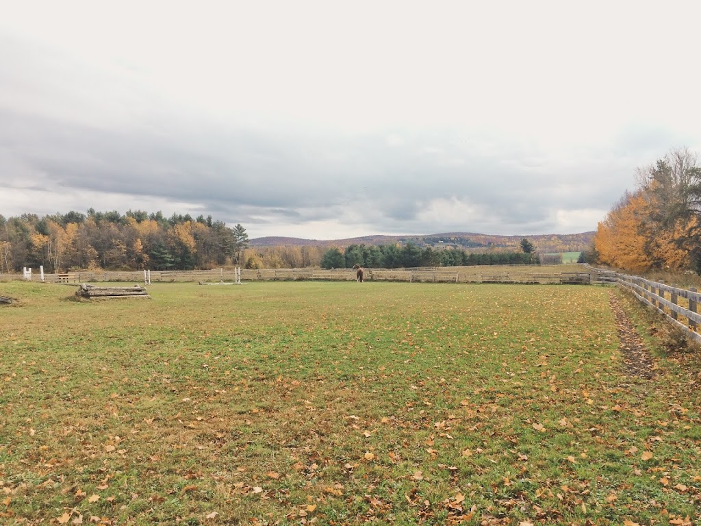 Le Campanile | 470 Chemin du Collège, Dunham, QC J0E 1M0, Canada | Phone: (514) 297-7007