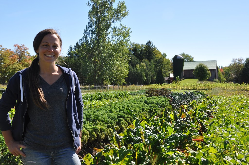 Salad Days Farm | 6794 6 Line, Belwood, ON N0B 1J0, Canada | Phone: (416) 770-1056