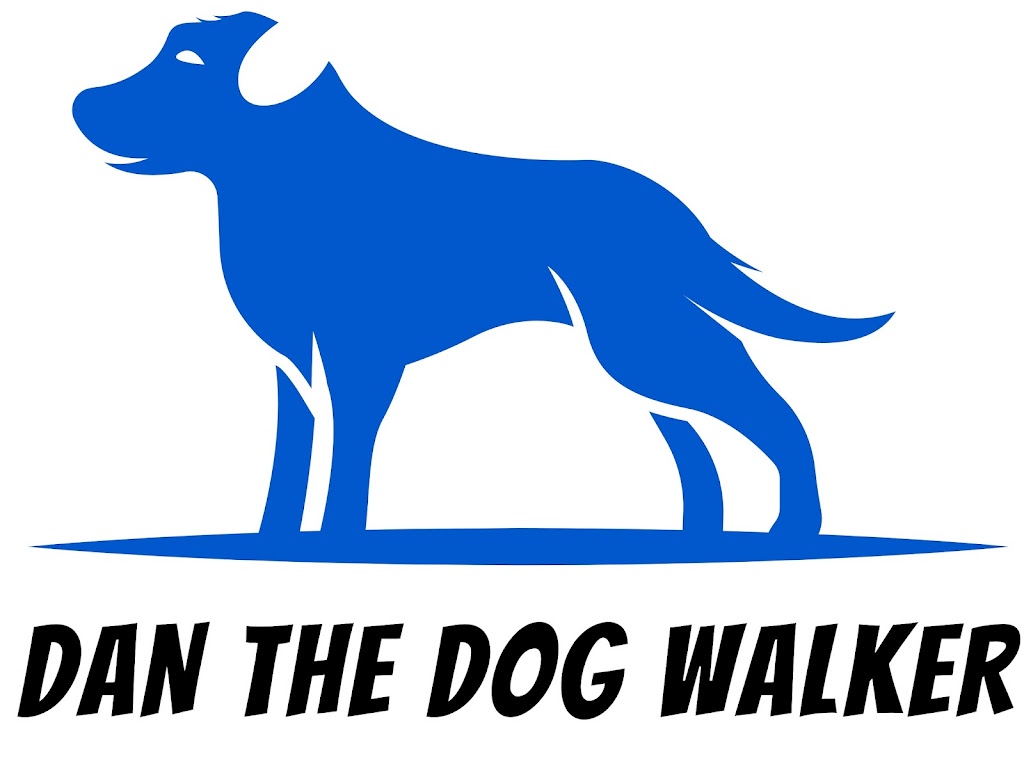 Dan the Dog Walker | 83 Superior St, Brantford, ON N3S 2K5, Canada | Phone: (226) 802-6076